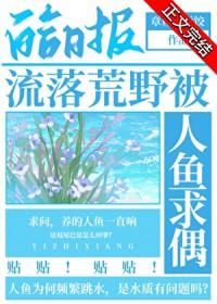 流落荒岛怎么办?