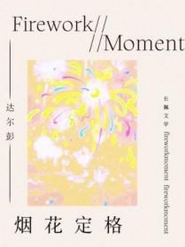 烟花状态视频