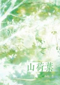 山荷叶高清