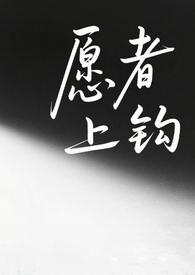 愿者上钩全文免费明