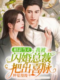 相亲闪婚婚后文