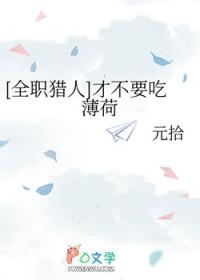 全职猎人我要当吃货22k