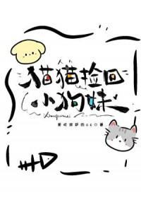 捡猫回去的含义