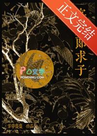 寡夫郎求子沈野结局