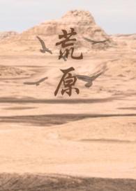 荒原尺度大吗